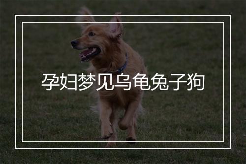 孕妇梦见乌龟兔子狗