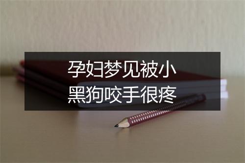 孕妇梦见被小黑狗咬手很疼