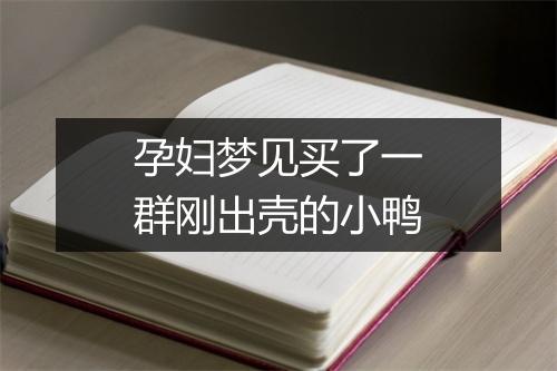 孕妇梦见买了一群刚出壳的小鸭