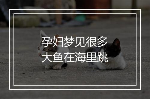 孕妇梦见很多大鱼在海里跳