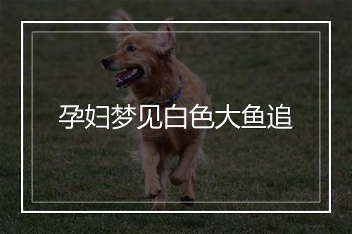 孕妇梦见白色大鱼追