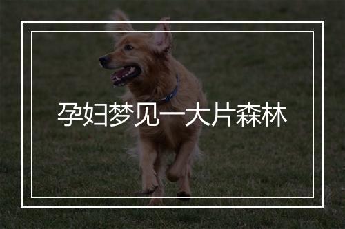 孕妇梦见一大片森林