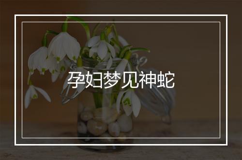 孕妇梦见神蛇