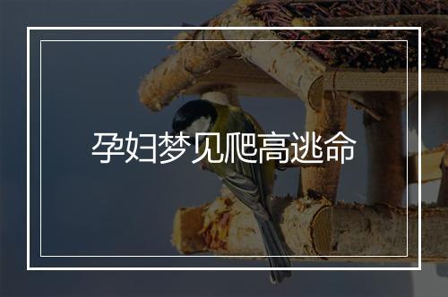 孕妇梦见爬高逃命