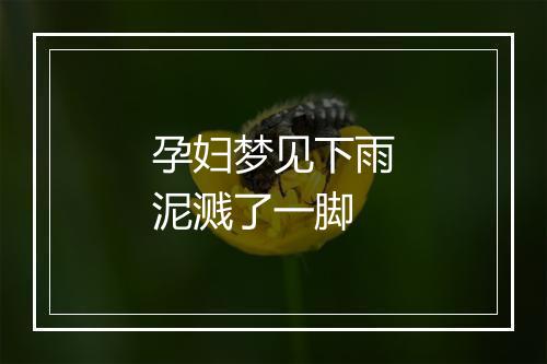 孕妇梦见下雨泥溅了一脚