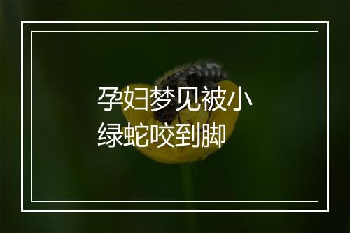 孕妇梦见被小绿蛇咬到脚