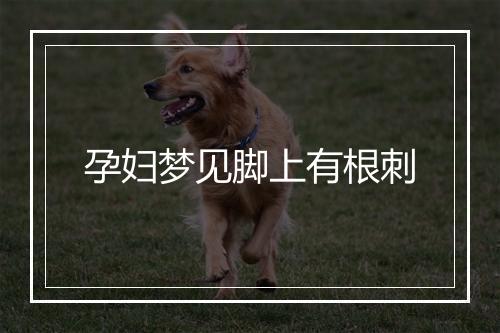 孕妇梦见脚上有根刺