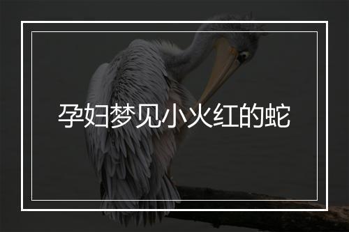 孕妇梦见小火红的蛇