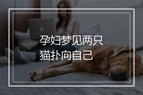 孕妇梦见两只猫扑向自己