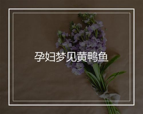 孕妇梦见黄鸭鱼