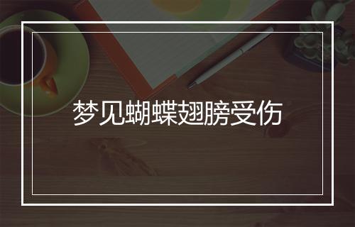 梦见蝴蝶翅膀受伤