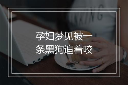 孕妇梦见被一条黑狗追着咬