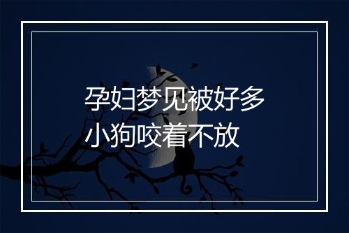 孕妇梦见被好多小狗咬着不放