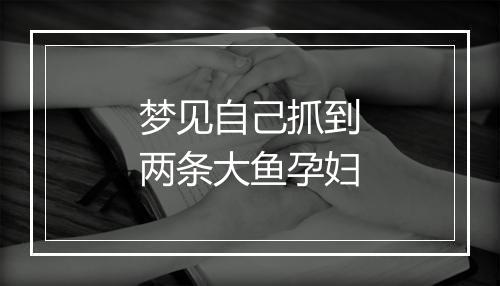 梦见自己抓到两条大鱼孕妇