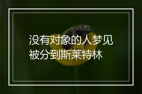 没有对象的人梦见被分到斯莱特林