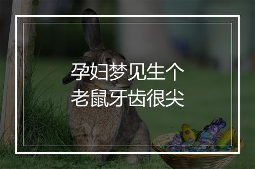 孕妇梦见生个老鼠牙齿很尖