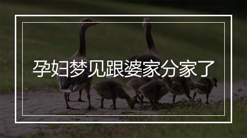 孕妇梦见跟婆家分家了