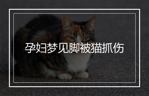 孕妇梦见脚被猫抓伤