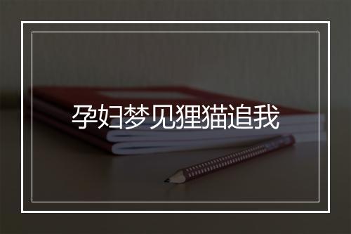 孕妇梦见狸猫追我