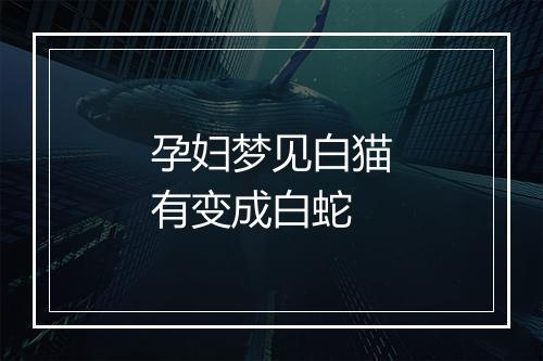 孕妇梦见白猫有变成白蛇