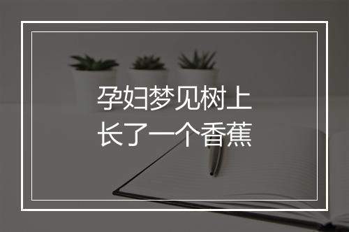 孕妇梦见树上长了一个香蕉