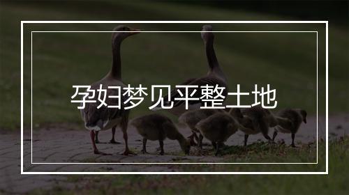 孕妇梦见平整土地