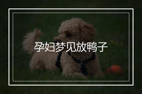 孕妇梦见放鸭子