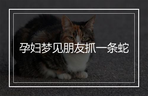 孕妇梦见朋友抓一条蛇