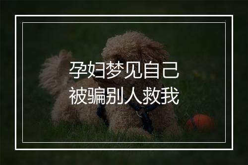 孕妇梦见自己被骗别人救我