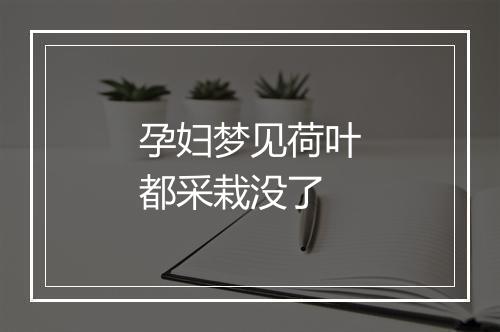 孕妇梦见荷叶都采栽没了