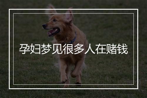 孕妇梦见很多人在赌钱