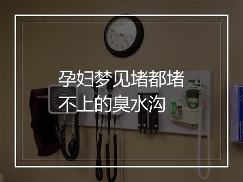 孕妇梦见堵都堵不上的臭水沟