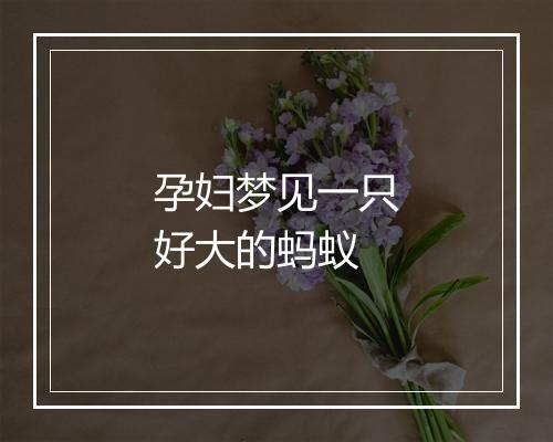 孕妇梦见一只好大的蚂蚁