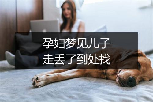 孕妇梦见儿子走丢了到处找