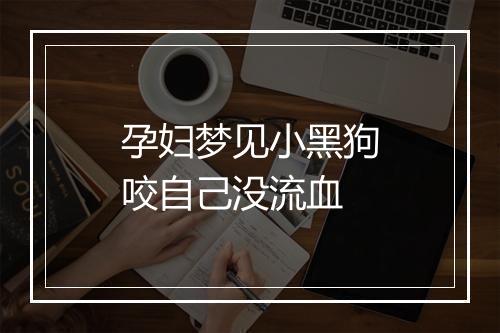 孕妇梦见小黑狗咬自己没流血