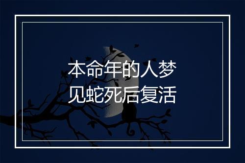 本命年的人梦见蛇死后复活