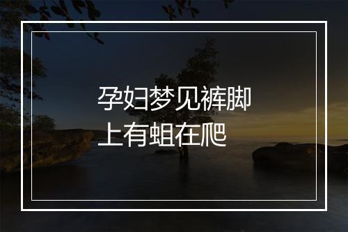 孕妇梦见裤脚上有蛆在爬