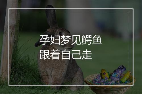 孕妇梦见鳄鱼跟着自己走