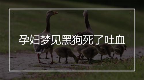 孕妇梦见黑狗死了吐血