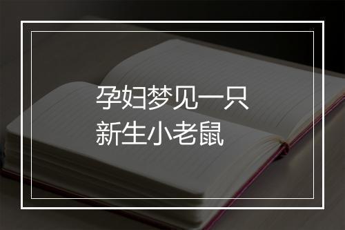 孕妇梦见一只新生小老鼠