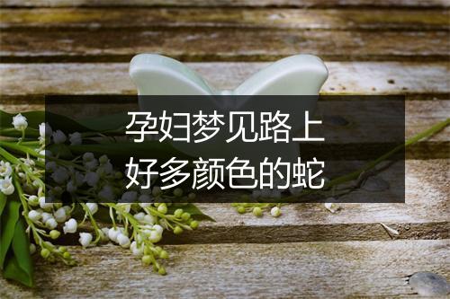 孕妇梦见路上好多颜色的蛇