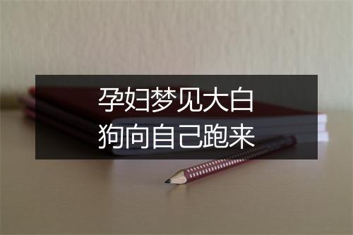 孕妇梦见大白狗向自己跑来