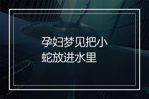 孕妇梦见把小蛇放进水里