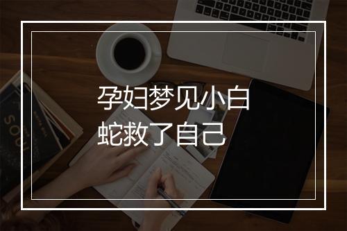 孕妇梦见小白蛇救了自己