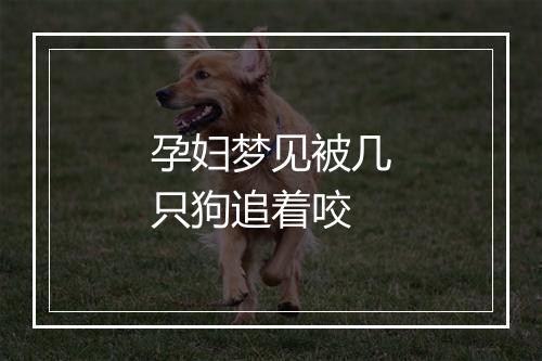 孕妇梦见被几只狗追着咬