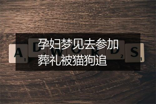 孕妇梦见去参加葬礼被猫狗追