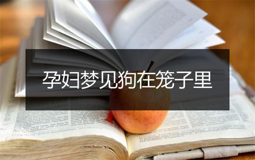 孕妇梦见狗在笼子里