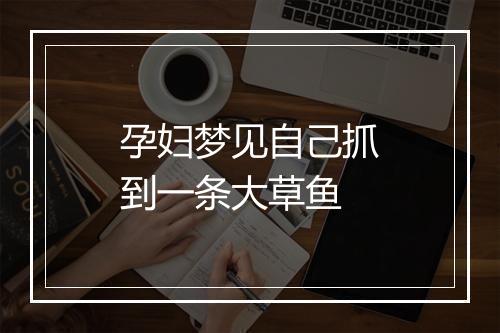 孕妇梦见自己抓到一条大草鱼