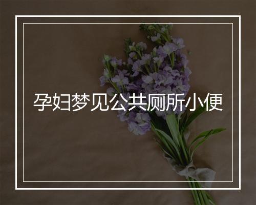 孕妇梦见公共厕所小便