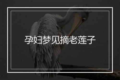 孕妇梦见摘老莲子